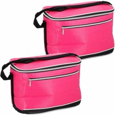 Set van 2x stuks kleine koeltassen voor lunch fuchsia roze 31 x 16 x 22 cm 8 liter