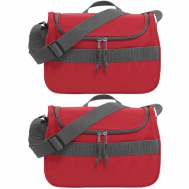Set van 2x stuks kleine koeltassen voor lunch rood 30 x 15 x 22 cm 10 liter