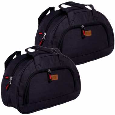 Set van 2x stuks kleine koeltassen voor lunch zwart 32 x 12 x 21 cm 8 liter
