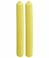 2x koelelementen staaf geel 20 cm