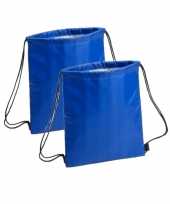 2x stuks blauwe koeltas rugzak 27 x 33 cm