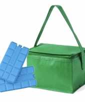Kleine koeltas groen voor 6 blikjes inclusief 2 koelelementen