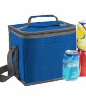 Kleine koeltas voor lunch blauw 24 x 22 x 17 cm 9 liter