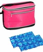 Kleine koeltas voor lunch fuchsia roze met 2 stuks flexibele koelelementen 8 liter