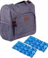Kleine koeltas voor lunch grijs met 2 stuks flexibele koelelementen 8 liter 10299194