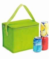 Kleine koeltas voor lunch groen 20 x 13 x 17 cm 4 5 liter