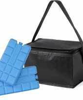 Kleine koeltas zwart voor 6 blikjes inclusief 2 koelelementen