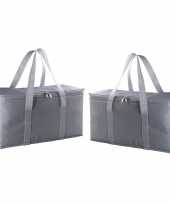 Pakket van 2x stuks grote koeltassen zilver grijs 17 liter