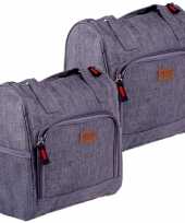Set van 2x stuks kleine koeltassen voor lunch grijs 25 x 12 x 26 cm 8 liter