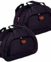 Set van 2x stuks kleine koeltassen voor lunch zwart 32 x 12 x 21 cm 8 liter